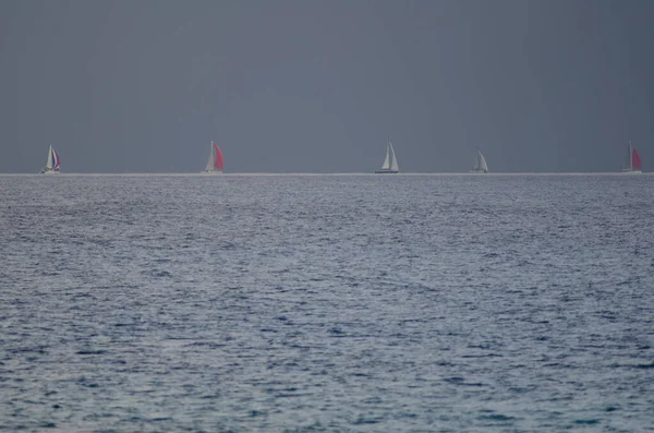 Wyścig transatlantycki z wyspy Gran Canaria. — Zdjęcie stockowe