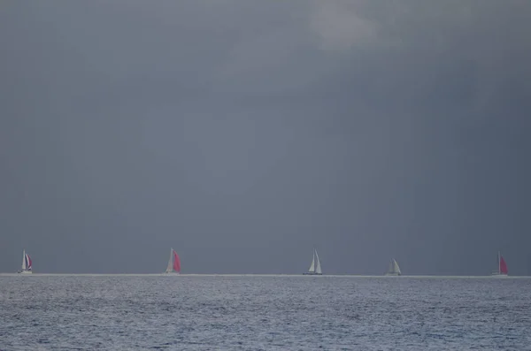 Course transatlantique depuis l'île de Gran Canaria. — Photo