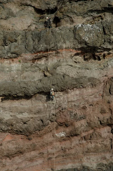 Tırmanışçılar Guigui 'nin Özel Doğal Rezervi' nde bir uçuruma tırmanıyorlar..