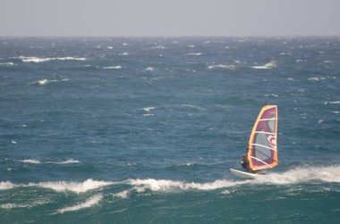 Rüzgâr sörfçüsü Arinaga sahillerinde yelken açıyor..