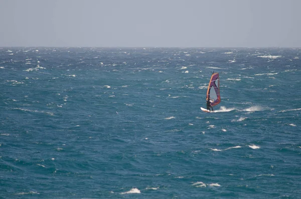 Windsurfer segeln an der Küste von Arinaga. — Stockfoto
