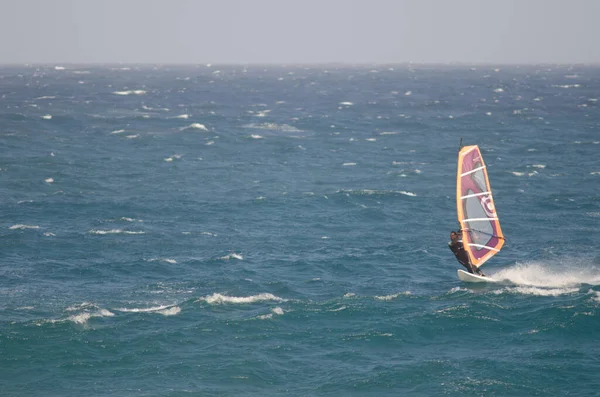 Windsurfer żeglarstwo na wybrzeżu Arinaga. — Zdjęcie stockowe