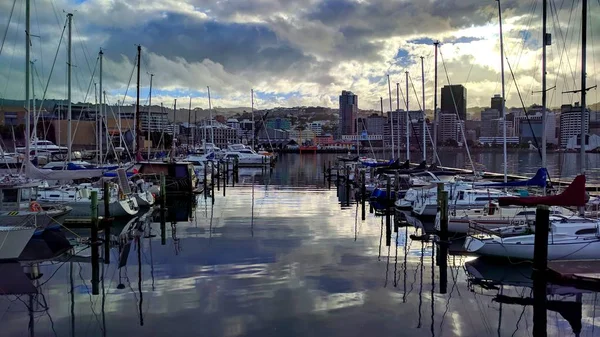 Wellington Harbour Dans Soirée — Photo