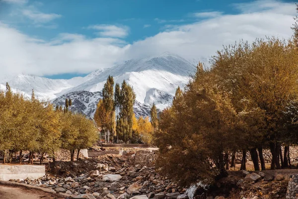 Herfst uitzicht op landschap in Leh Ladakh district, Norther deel van — Stockfoto