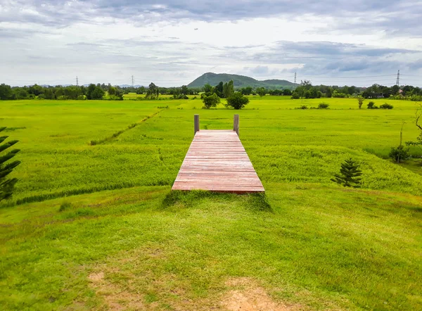 Wooden Bridge Green Rice Field Thailand — Stock Photo, Image