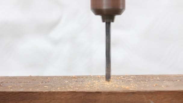 Drilling Hole Wood Power Drill — Stock Video