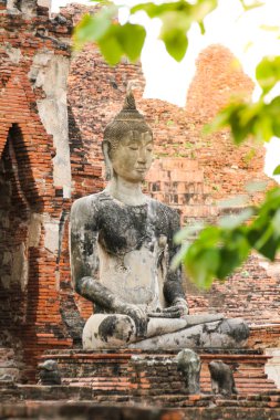 Wat Mahathat, Ayutthaya Tarihi Parkı, Tayland.