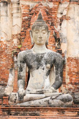 Wat Mahathat, Ayutthaya Tarihi Parkı, Tayland.
