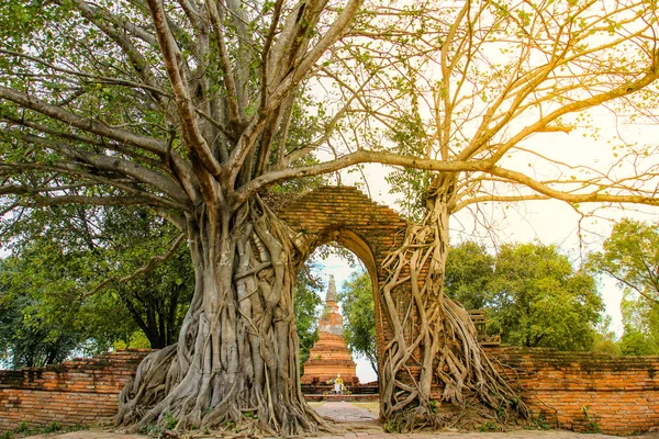 Portão Antigo Templo Wat Phra Ngam Ayutthaya Tailândia — Fotografia de Stock