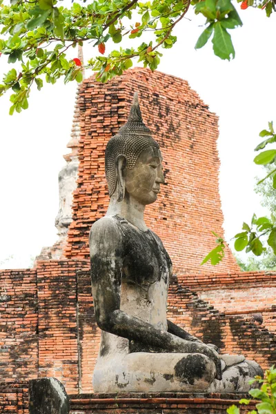 Wat Mahathat Ayutthaya Historical Park Thailand — стоковое фото