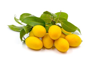 Beyaz arkaplanda Marian Plum veya Plango izole edilmiş.