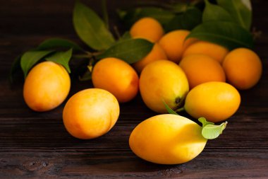 Marian Plum veya Plango ahşap masada..