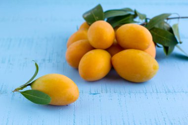 Marian Plum veya Plango ahşap masada..