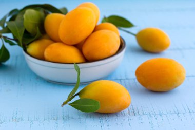 Marian Plum veya Plango ahşap masada..