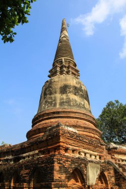 Ayutthaya, Tayland 'daki Wat Yai Chaimongkol Antik Pagoda.
