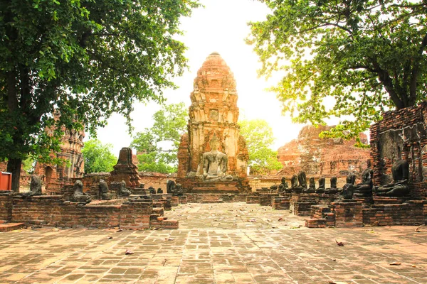 Wat Mahathat in Ayutthaya Historical Park, Thailand. — стоковое фото