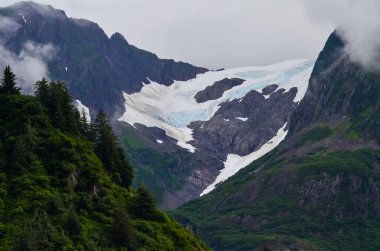 Kenai fiyortları Milli Parkı'ndaki bir buzulun uzak görünümü, Seward, Alaska, Amerika Birleşik Devletleri, Kuzey Amerika