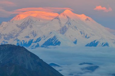 Sunrise view of Mount Denali - mt Mckinley peak with red alpenglow from Stony Dome overlook. Denali National Park and Preserve, Alaska, United States clipart