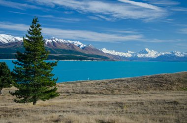 Pukaki Gölü boyunca uzanan Cook Dağı 'nın solunda Yeni Zelanda, Güney Adası' ndaki ağaç var.