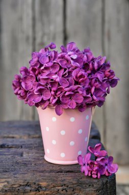 Leylak buketi, kovadaki leylaklar, ülke natürmortu