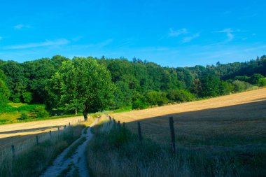Hollanda çayırına bitişik bir yol