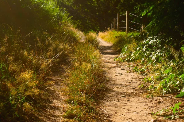 Um caminho ao lado de um prado holandês — Fotografia de Stock