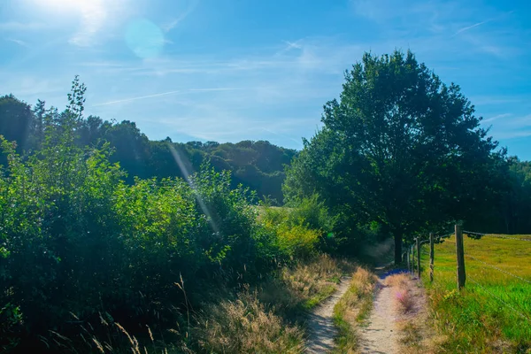 Un camino junto a un prado holandés —  Fotos de Stock