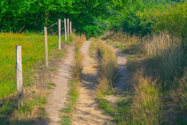 Um caminho ao lado de um prado holandês — Fotografia de Stock