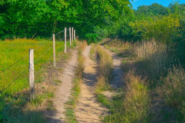 Um caminho ao lado de um prado holandês — Fotografia de Stock
