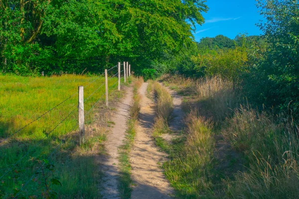 Um caminho ao lado de um prado holandês — Fotografia de Stock