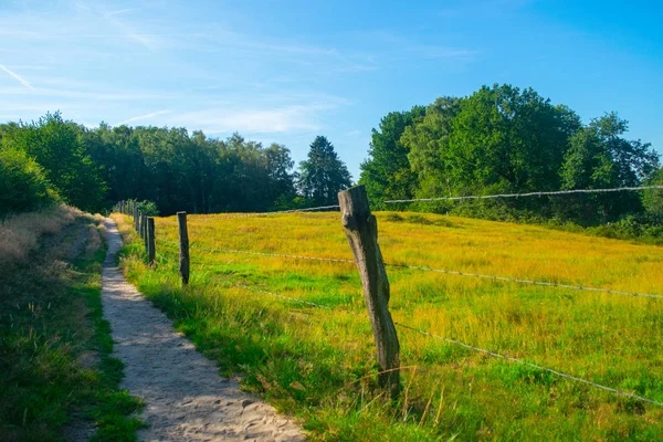 Un camino junto a un prado holandés —  Fotos de Stock