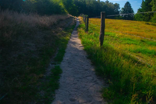 Um caminho ao lado de um prado holandês — Fotografia de Stock