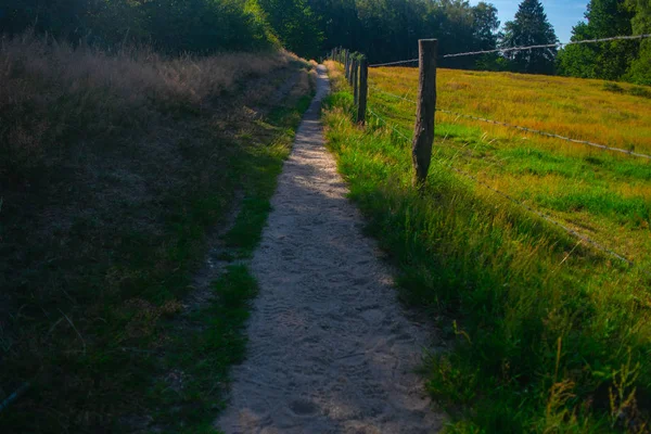 Um caminho ao lado de um prado holandês — Fotografia de Stock