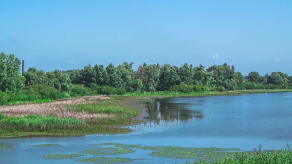 Ooijpolder Eski Waal — Stok fotoğraf