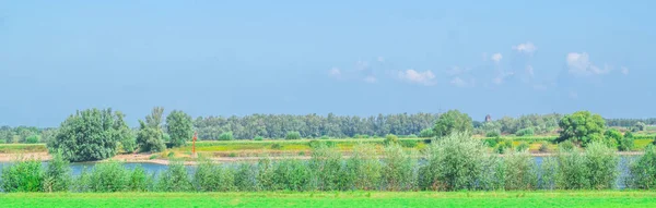 Hierba verde frente a Waal — Foto de Stock