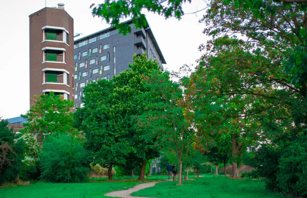 Parc devant l'Université de Nimègue — Photo