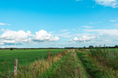 Hollanda manzaraları arasındaki yol