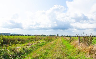 Hollanda manzaraları arasındaki yol