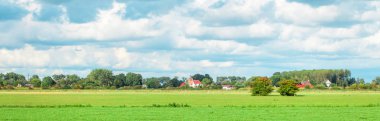 Köy ile Hollanda Polder manzara