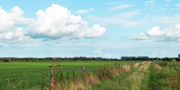 オランダの風景間のパス — ストック写真