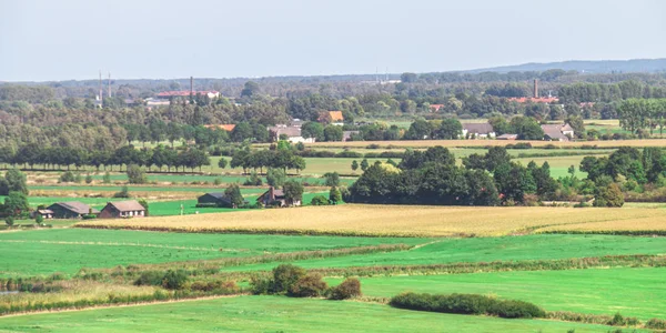Dutch polder landscape — Stock Photo, Image