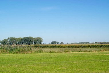 Geleneksel Hollanda polder manzara