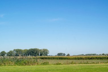 Geleneksel Hollanda polder manzara