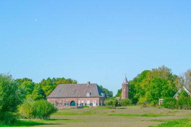 Ooij Hollanda çim çayır