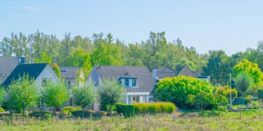 Hollanda'da geleneksel Hollanda köyü Ooij