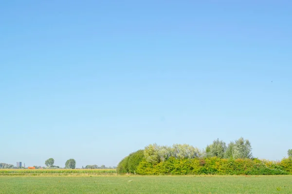 Geleneksel Hollanda polder manzara — Stok fotoğraf