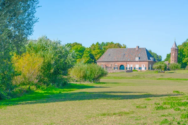 Nederlandse gras weide in Ooij — Stockfoto