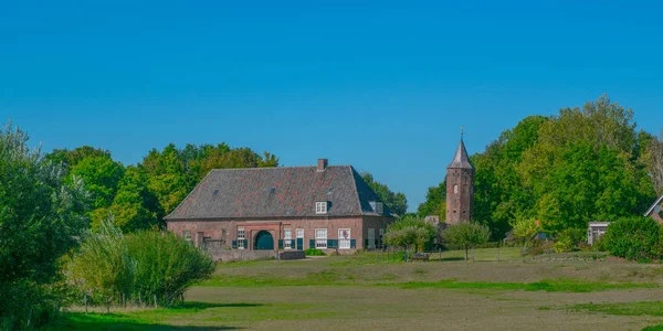 Ooij Hollanda çim çayır — Stok fotoğraf