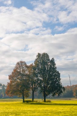 Sonbaharda Nijmegen 'deki Goffertpark