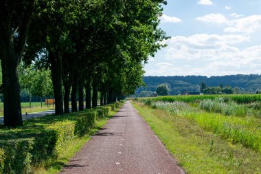 Hollanda polen çayırında bisiklet yolu